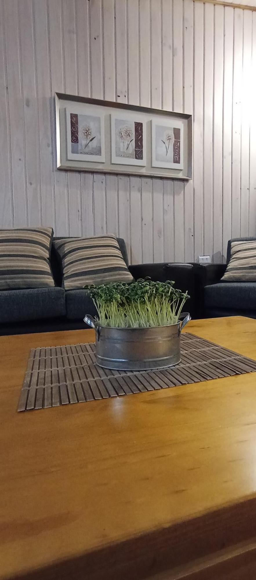 Cabana Los Coihues Leilighet Puerto Montt Eksteriør bilde